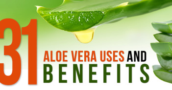 31 Aloe Vera Uses & Benefits – Most Rated List