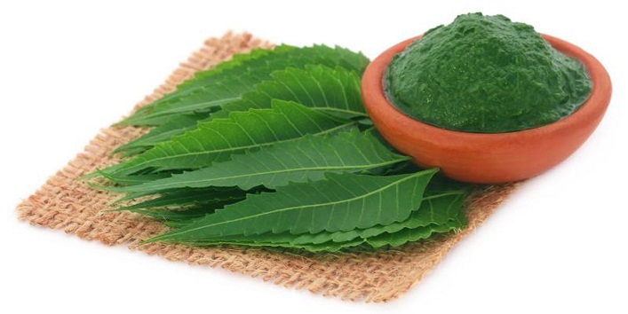 Neem-Leaves-for-Curing-Viral-Fever-and-Healing-Minor-Cuts-or-Burns