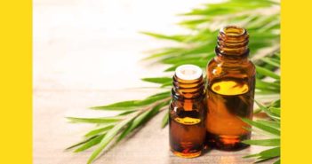 Know How To Use Tea Tree Oil To Get Rid Of Moles Use Tea Tree Oil to Get Rid of Moles