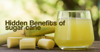 11 Hidden Benefits of Sugar Cane – Check This Out! 11 Hidden benefits of sugarcane