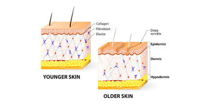 Boost-Collagen-Synthesis