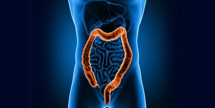 Repairs-the-Gut-health