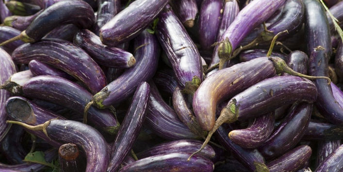 Risks-associated-with-eggplants