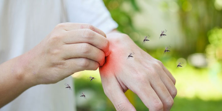 Ayurvedic-Remedies-for-Malaria-Treatment